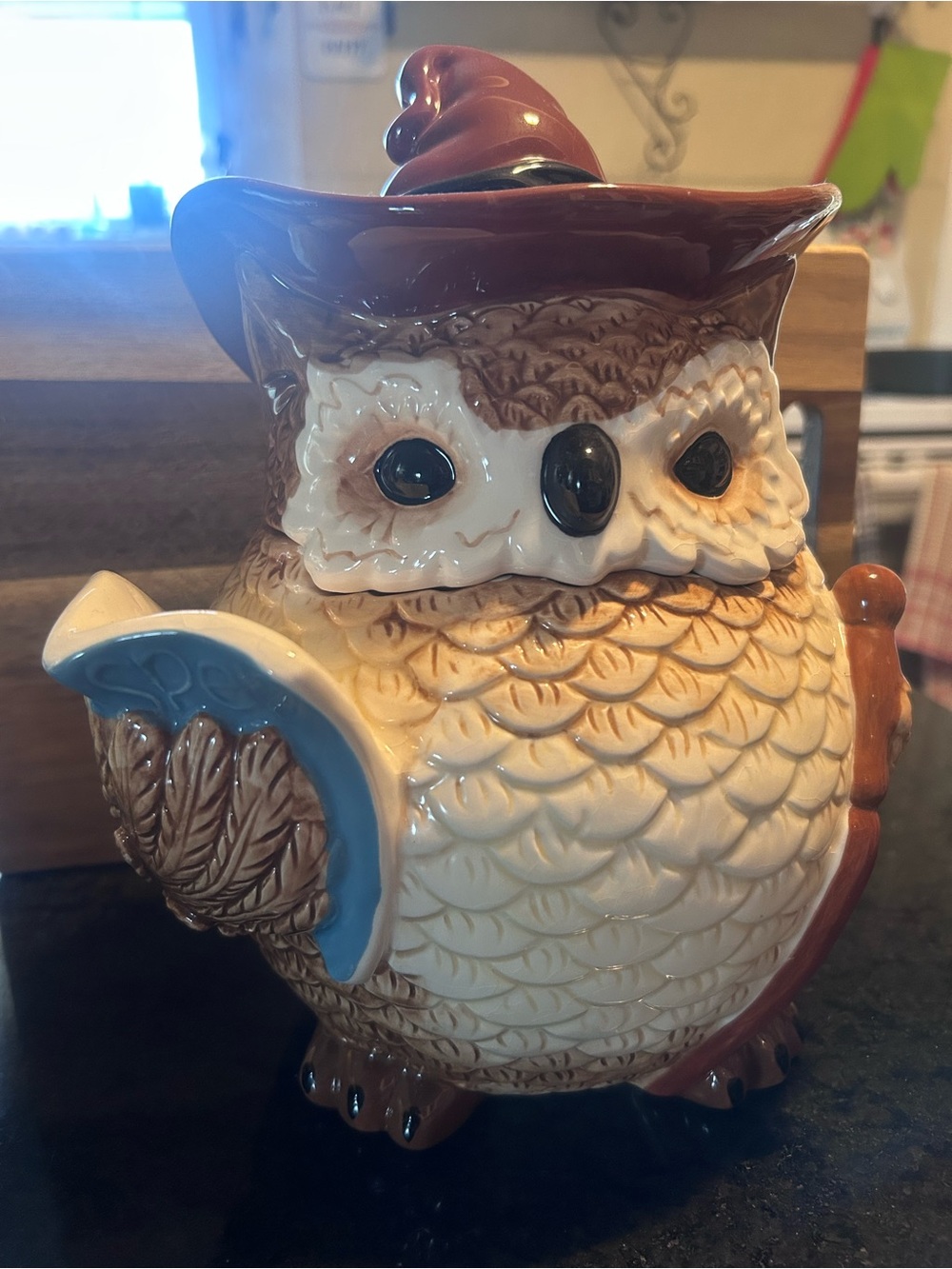 Stokes Ceramic Owl-Wizard Cookie Jar 🍪😍🍪